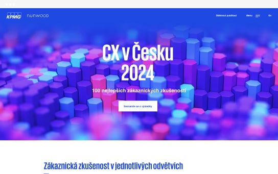 Výsledky v roce 2024